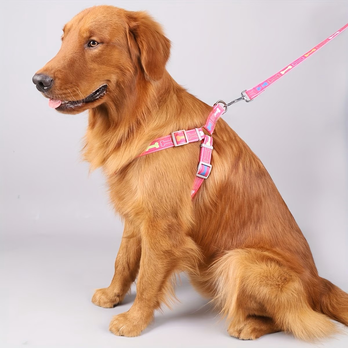 Arnés Ajustable para Perro con - D Ring Strap reseña y precio