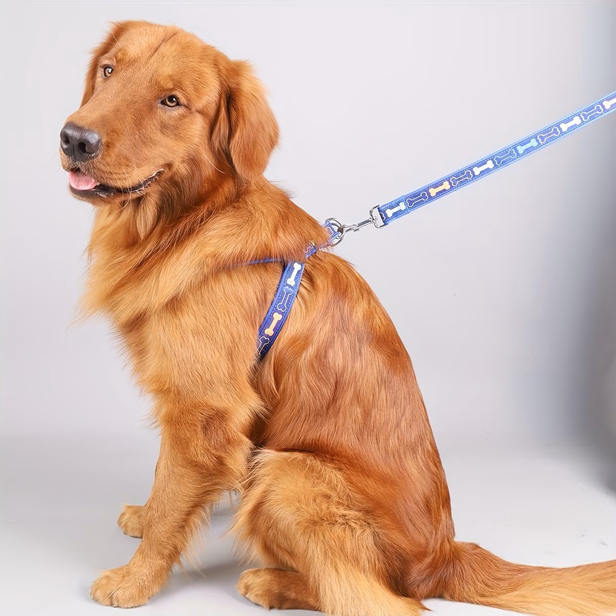 Arnés Ajustable para Perro con - D Ring Strap reseña y precio